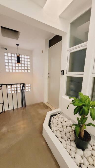 D-08Novaga Downtown Cancún Eksteriør billede